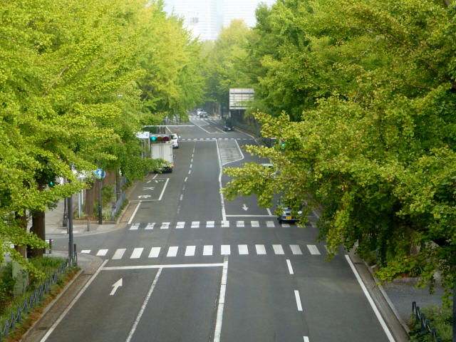 YamashitaPark-Road606