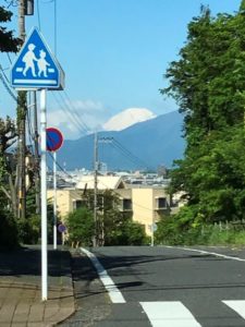 オーガニックハウス横浜は近代ホーム