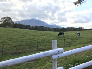 横浜の健康住宅は近代ホームへ