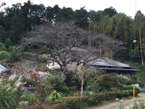 横浜の健康住宅は近代ホームへ