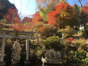 横浜の健康住宅は近代ホームへ