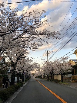 4月上旬の風景