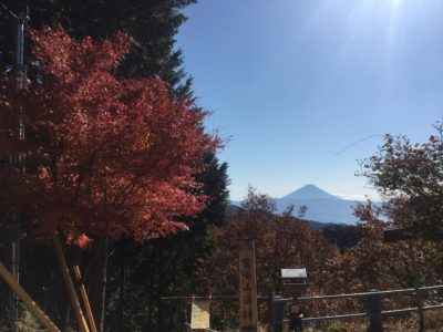 山梨県へ紅葉見学